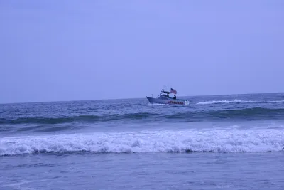 DSC_2121 (Large).JPG